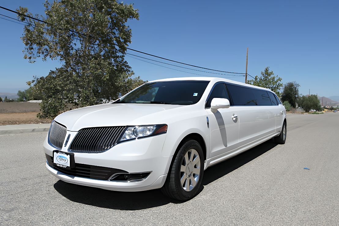 8 passenger stretch limousine exterior